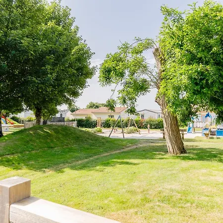 20 - L'etourneau - Village * Maché